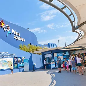 Els Pins El Arenal (Mallorca)